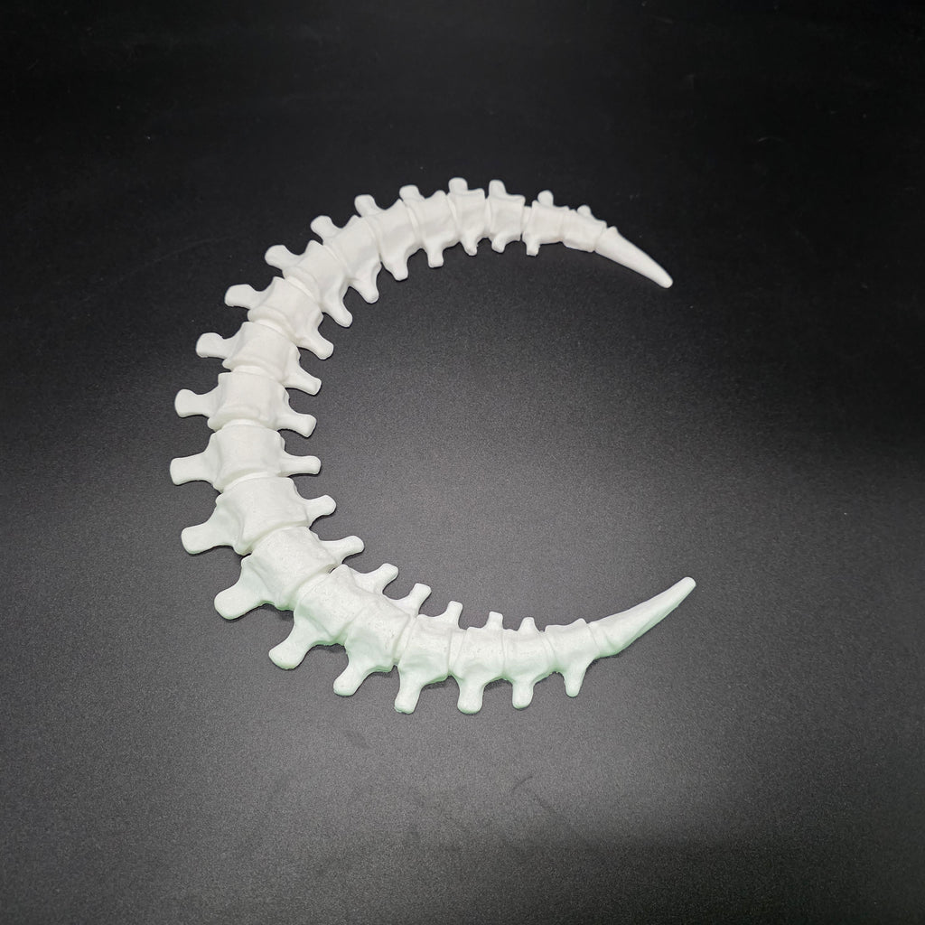 Skeleton Cresent Moon (White)
