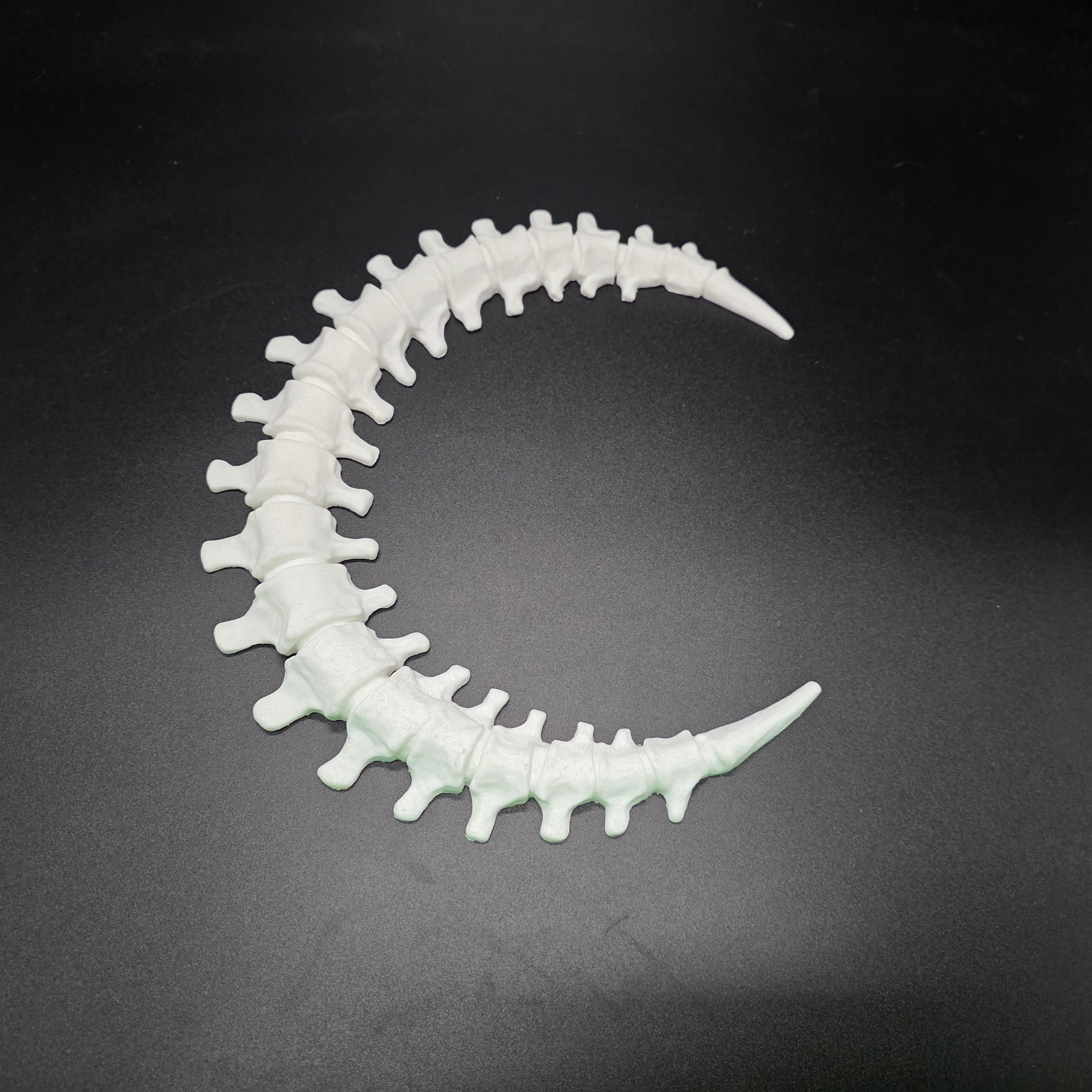 Skeleton Cresent Moon (White)