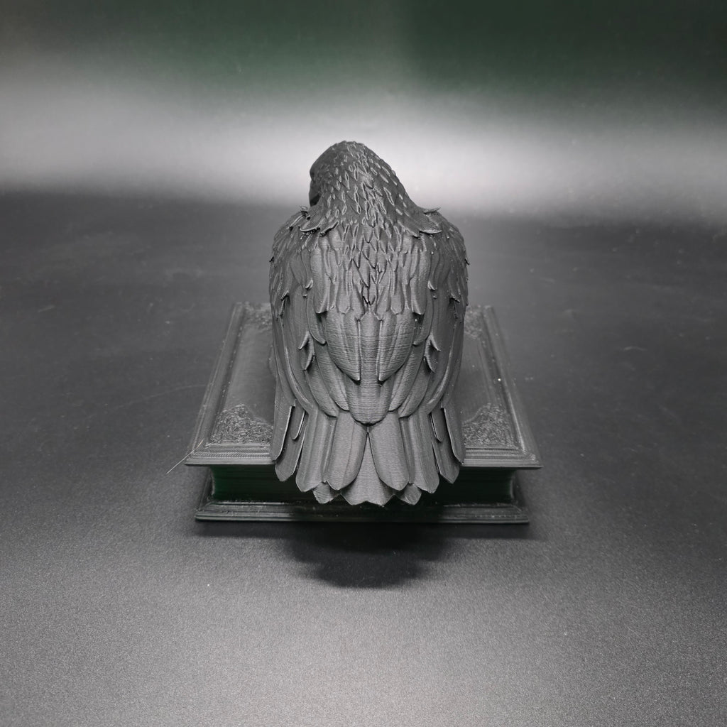 Watchful Raven