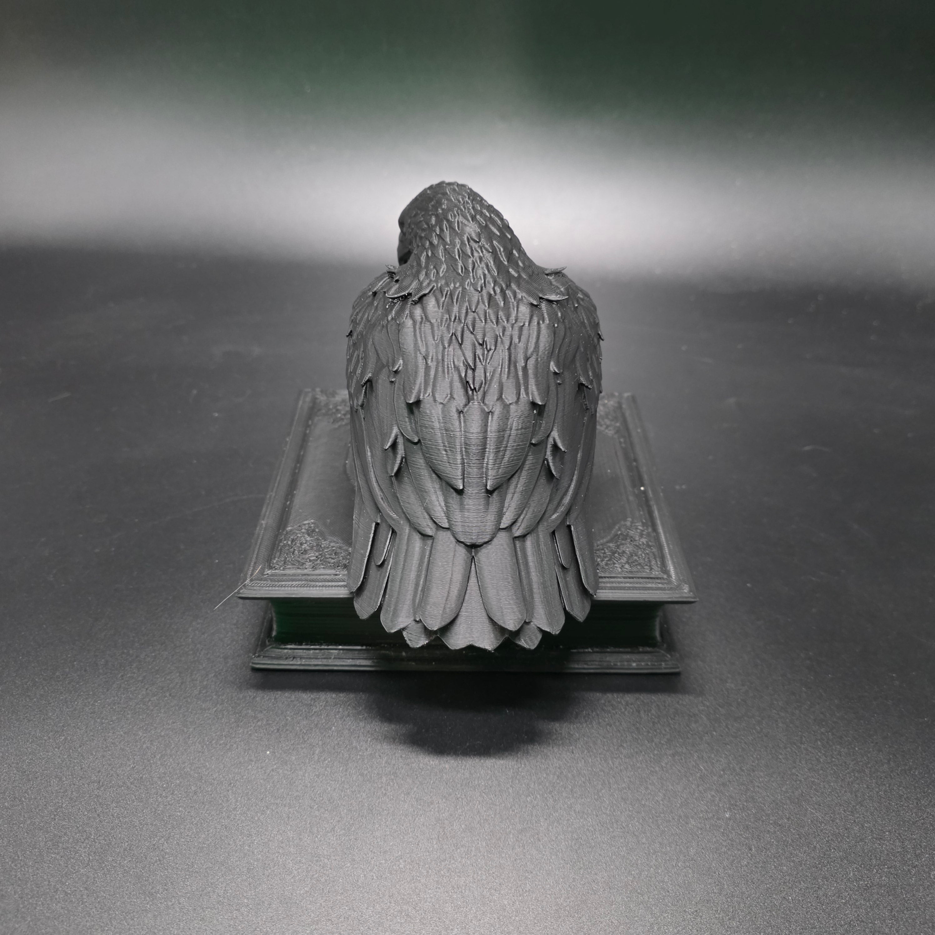 Watchful Raven