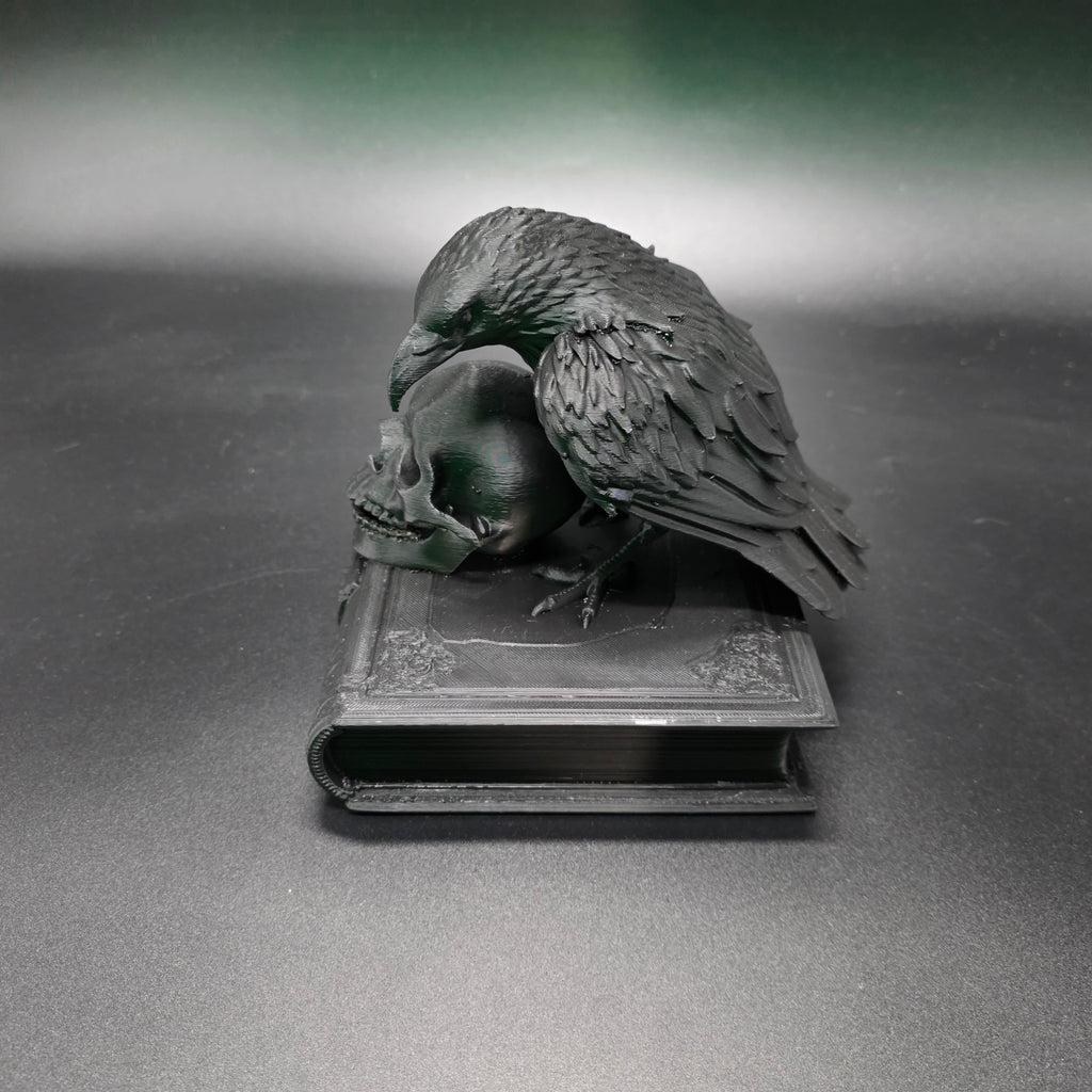 Watchful Raven