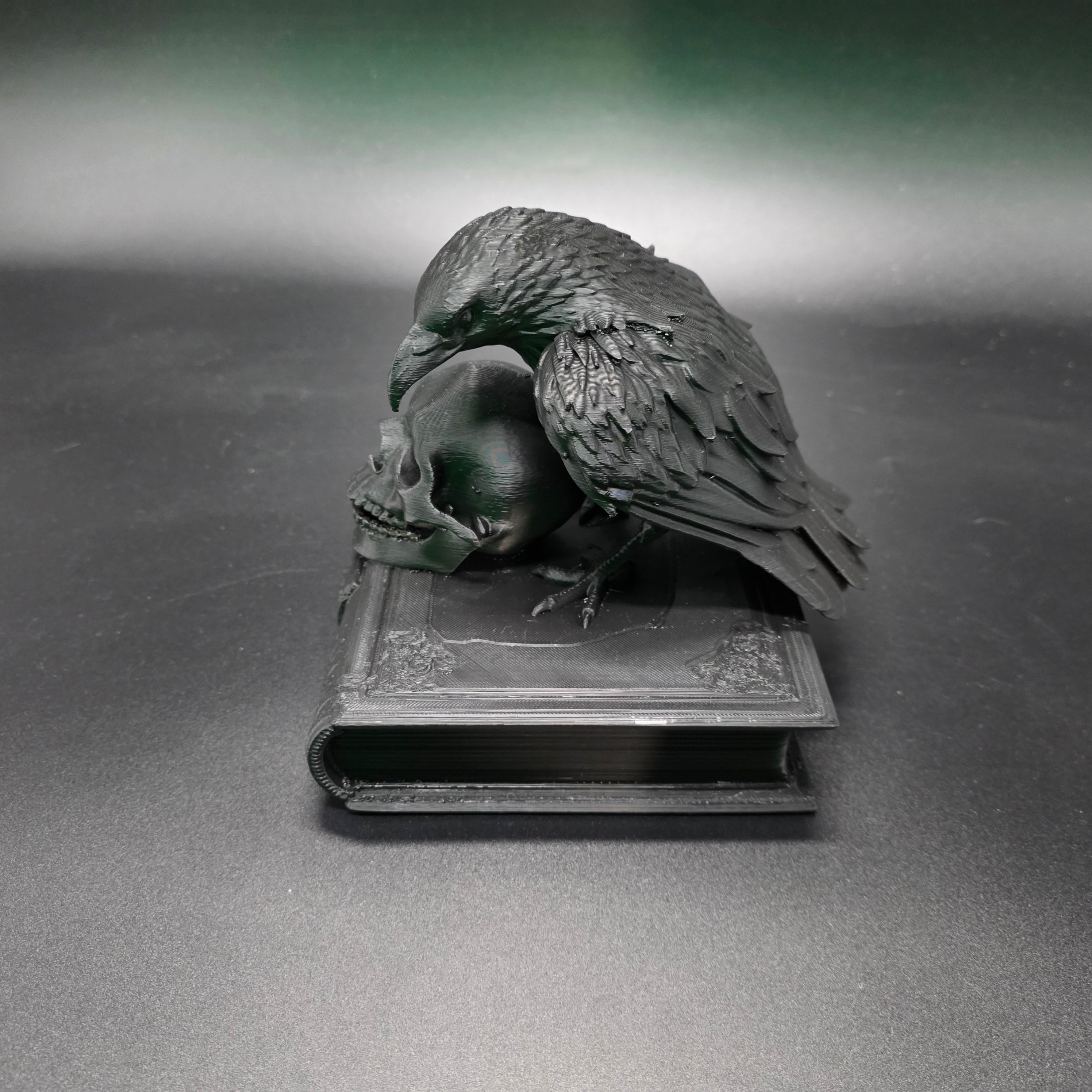Watchful Raven