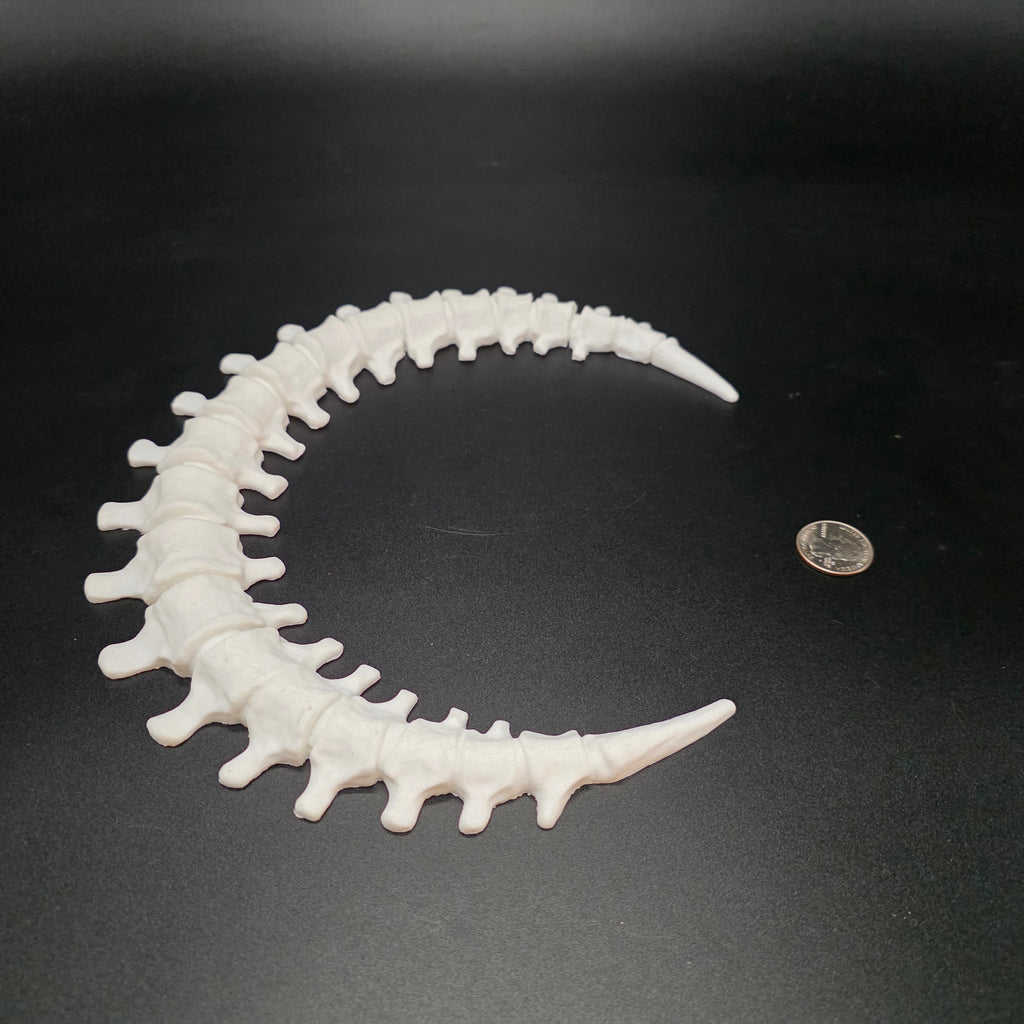 Skeleton Cresent Moon (White)